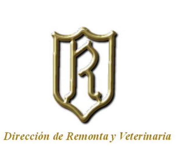 REMONTA TEXTO